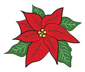 Image showing Christmas festive flower decoration vector or color illustration