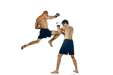 Image showing Two professional boxer boxing isolated on white studio background