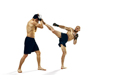 Image showing Two professional boxer boxing isolated on white studio background