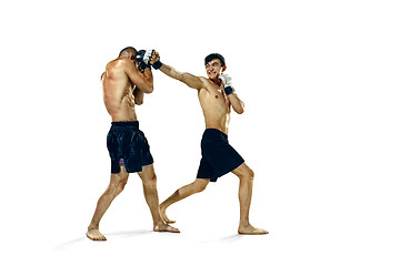 Image showing Two professional boxer boxing isolated on white studio background