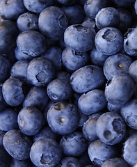 Image showing blue berries
