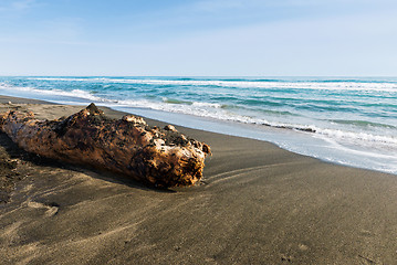 Image showing Beautiful sea, the black sandy beach and big old log