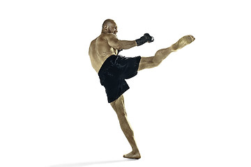 Image showing professional boxer boxing isolated on white studio background