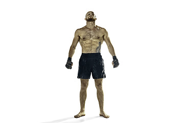 Image showing professional boxer boxing isolated on white studio background