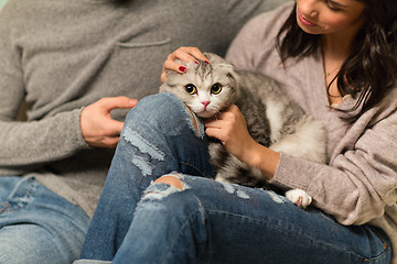 Image showing close up of couple with scottish fold cat