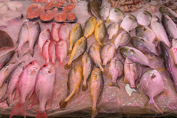 Image showing Fresh Fish