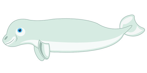Image showing Whale white whale on white background is insulated