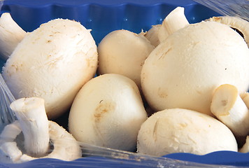 Image showing fresh mushrooms in a blue carton