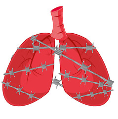 Image showing Internal organs of the person light in barbed wire