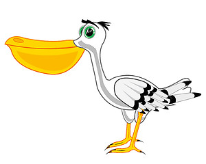 Image showing Sea bird pelican on white background is insulated