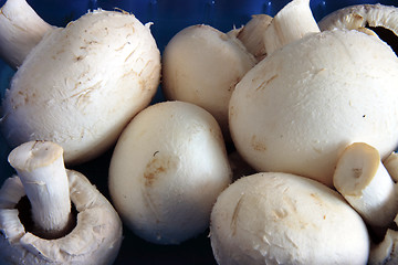 Image showing fresh mushrooms in a blue carton