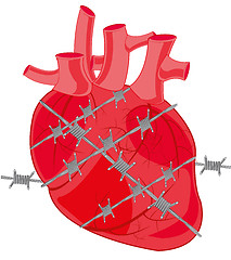 Image showing Heart of the person tangled in barbed wire