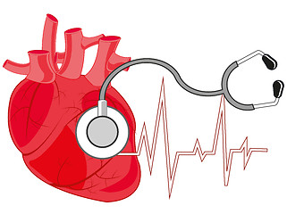 Image showing Heart of the person and medical instrument stethoscope
