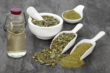 Image showing Moringa Herb Leaf Oil and Powder