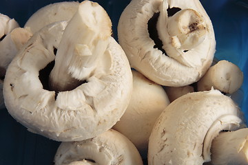 Image showing fresh mushrooms in a blue carton