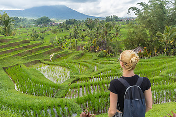 Image showing Caucasian female tourist wearing small backpack looking at beautiful green rice fields and terraces of Jatiluwih on Bali island