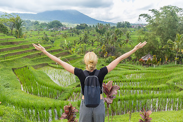 Image showing Relaxed female tracker enjoying pure nature at beautiful green rice fields on Bali.