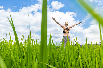 Image showing Relaxed healthy sporty woman, arms rised to the sky, enjoying pure nature at beautiful green rice fields on Bali.