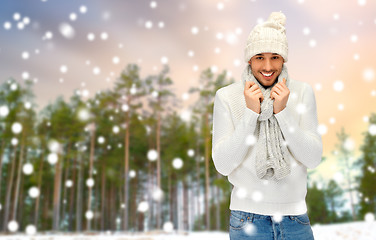 Image showing smiling man in hat and scarf over winter forest