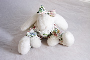 Image showing furry bunny