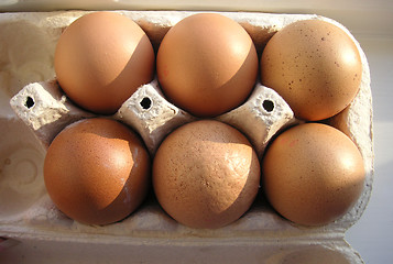 Image showing half a dozen eggs in a box