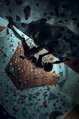 Image showing Free climber young man climbing artificial boulder indoors