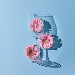 Image showing Glass of wine with pink gerberas on a blue background