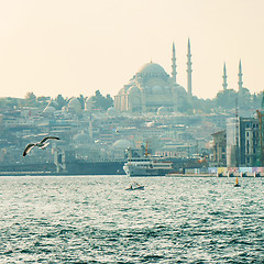 Image showing Istanbul the capital of Turkey.