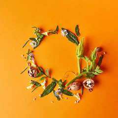 Image showing a round frame of flowers and leaves