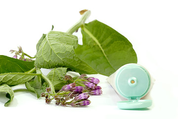 Image showing Comfrey-Creme