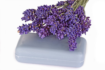 Image showing Blue Lavender Soap