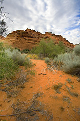 Image showing Looking into the Redrocks in Snow Canyon - Utah
