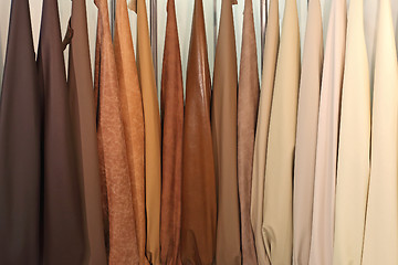 Image showing Leather Samples