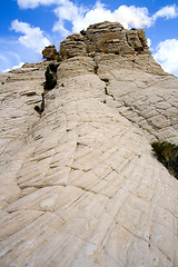 Image showing Close up on the Rocks with a Small Tree - Snow Canyon Utah