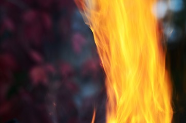 Image showing burning flame on a background of autumn leaves