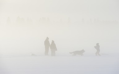 Image showing family with a dog in winter on a frozen lake in the fog