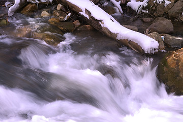 Image showing River during Spring