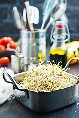 Image showing Raw sprouts