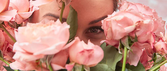 Image showing Close-up of a bouquet of pink roses