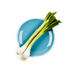 Image showing Organic green onion on blue plate on white background. 