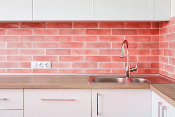 Image showing Interior corner of the modern kitchen with steel sink and wall tiles in a trend color of the year 2019 Living Coral Pantone.