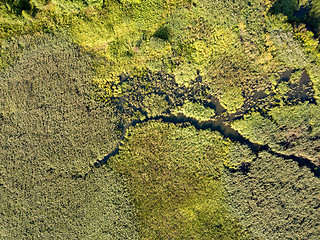 Image showing Panoramic view from the drone, aerial photography of landscape with greenery of forests, fields and source of the river.