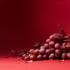 Image showing a bunch of ripe grapes on a red background