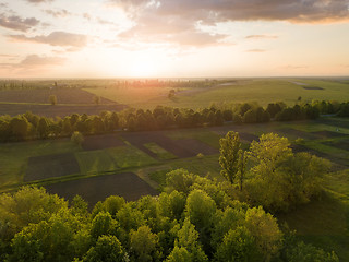 Image showing Aerial view from the drone, a bird\'s eye view of abstract geometric forms of agricultural fields with a dirt road through them in the summer evening at sunset.