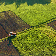 Image showing Aerial view from the drone, a bird\'s eye view of agricultural fields with a road through and a tractor on it in the spring evening at sunset