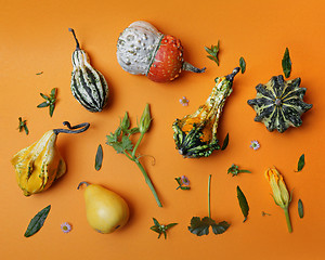 Image showing autumn pattern from decorative pumpkin