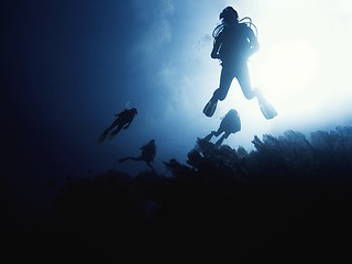 Image showing Scuba diver descending to the bottom