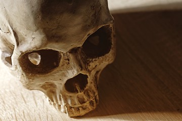 Image showing Skull of the reaper closeup photo