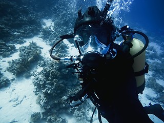 Image showing Scuba diver descending to the bottom