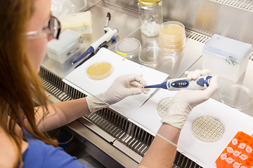 Image showing Life scientist researching in moder scientific laboratory.